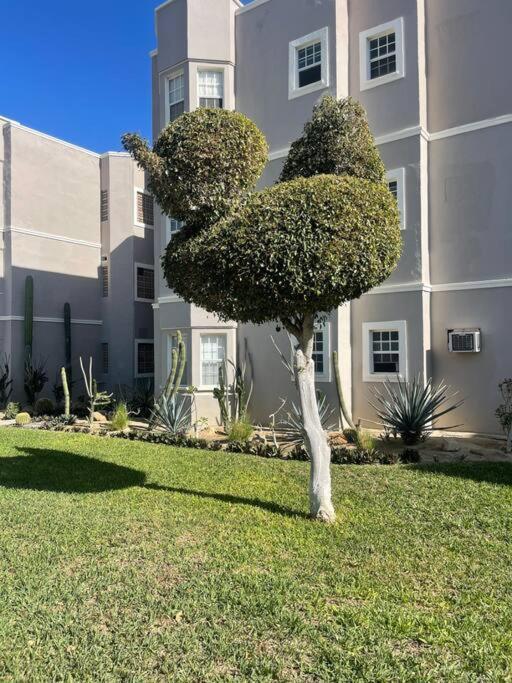 Appartamento Departamento En 1Er Piso 2 Bdr 2Bath Tezal Cabo San Lucas Esterno foto